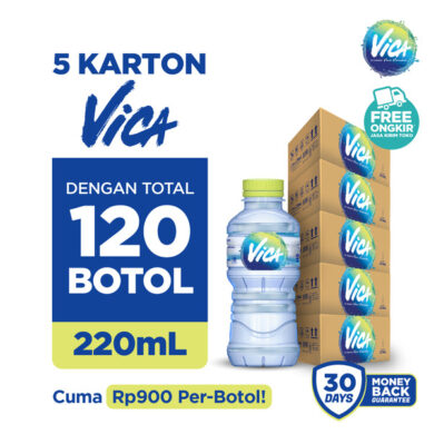 5 Karton Vica